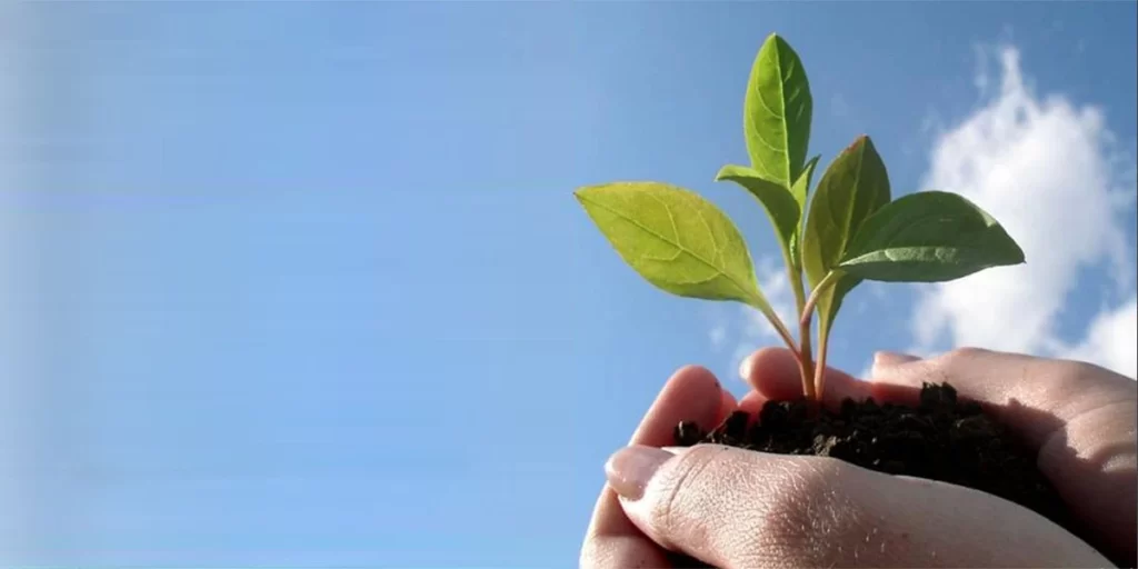 Confederation of Indian Industry