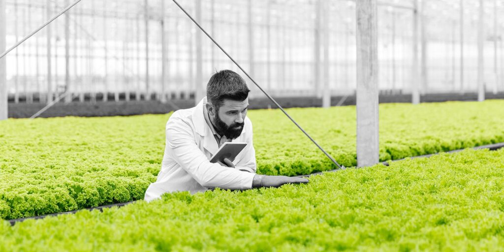 World Food India 2017