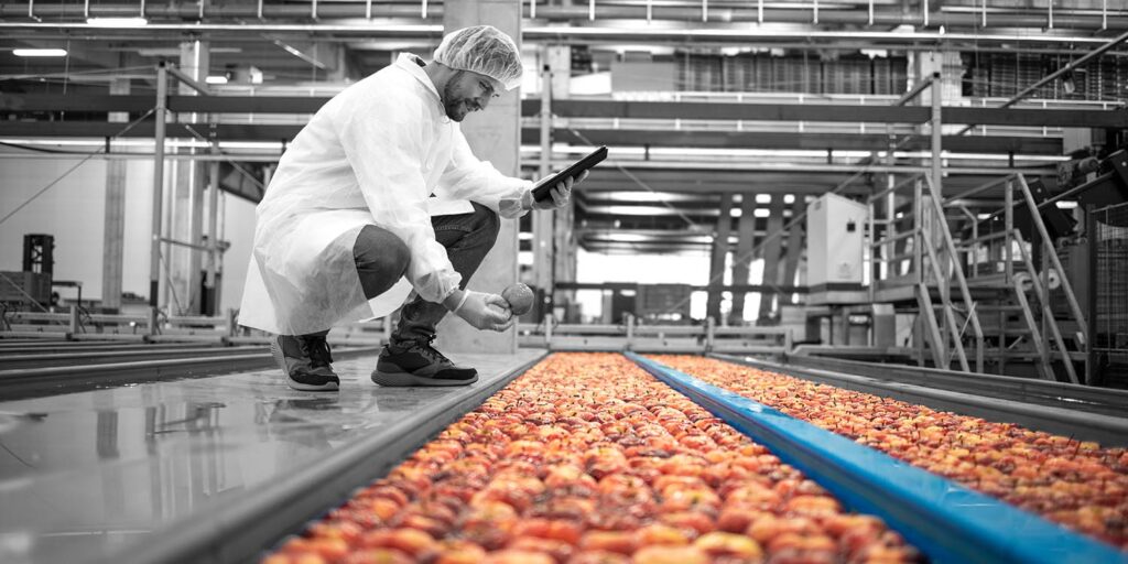 The Great Indian Gastro