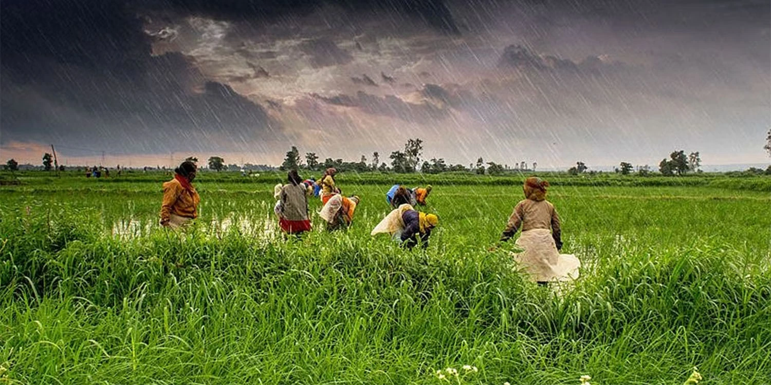 Fortifying our Agriculture against Climate Change